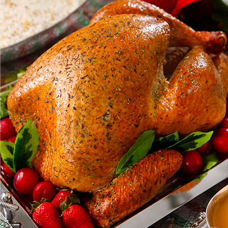 Sarcopenia y el consumo de carne de pavo en adultos mayores